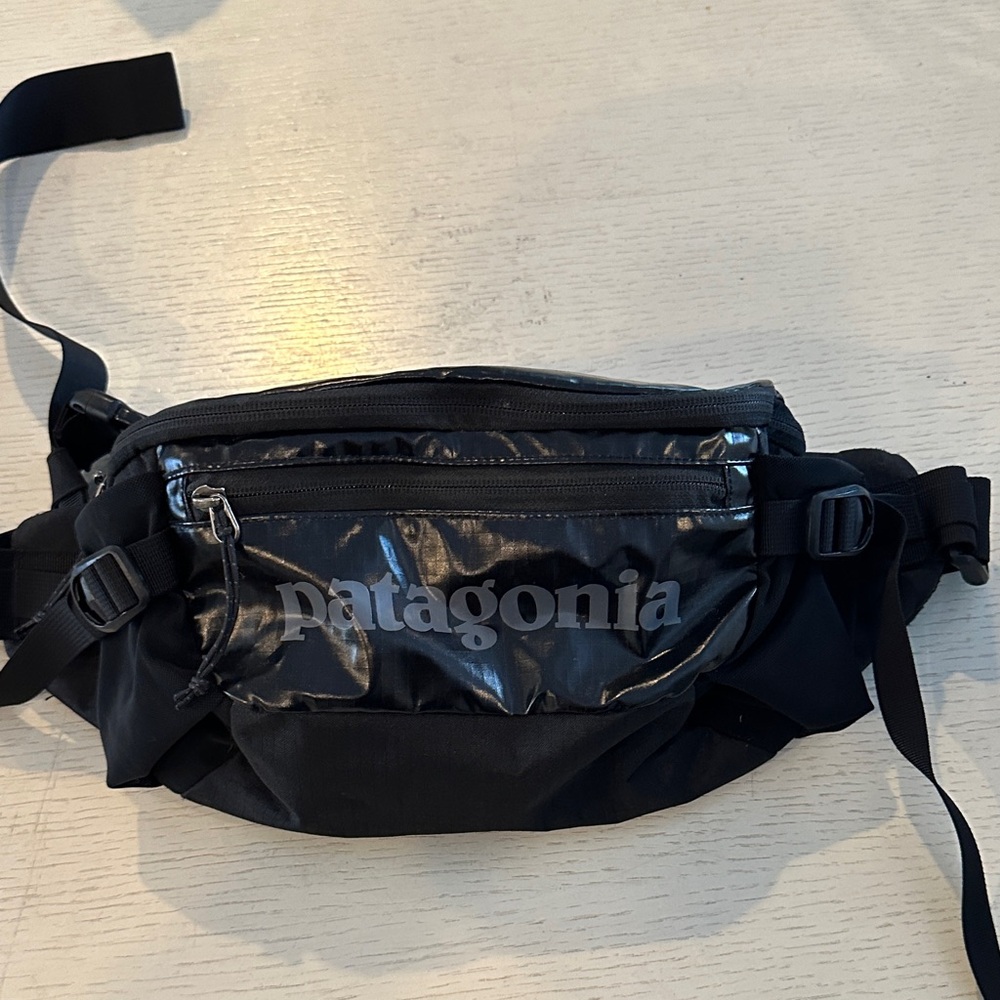 Patagonia Black Belt Bag